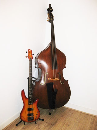 double bass and bass guitar